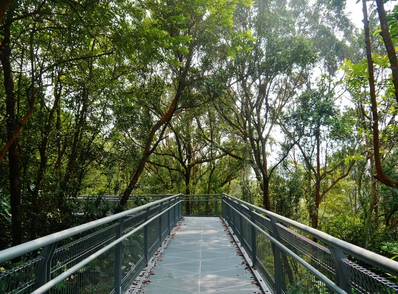 Southern Ridges là cung đường lý tưởng để thư giãn