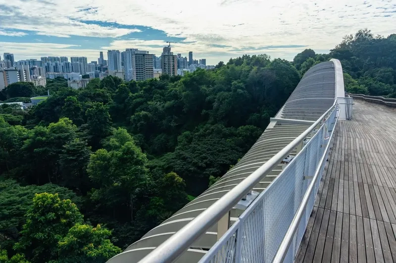 Chụp ảnh cùng thiên nhiên tuyệt đẹp ở Southern Ridges