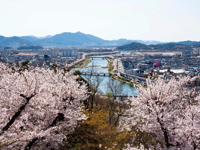 Suncheon là một thành phố thuộc tỉnh Jeollanam-do, Hàn Quốc