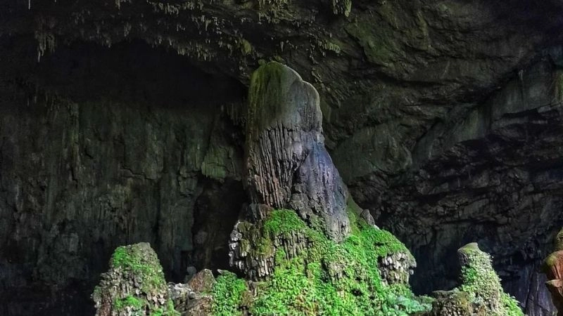 Cảnh đẹp Phú Quốc rực rỡ màu xanh