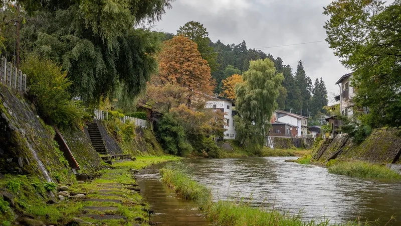 Hành trình khám phá Takayama đầy trải nghiệm thú vị