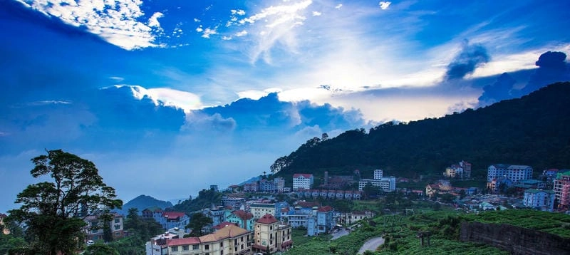 Đôi nét về Tam Đảo viên ngọc xanh giữa mây trời 