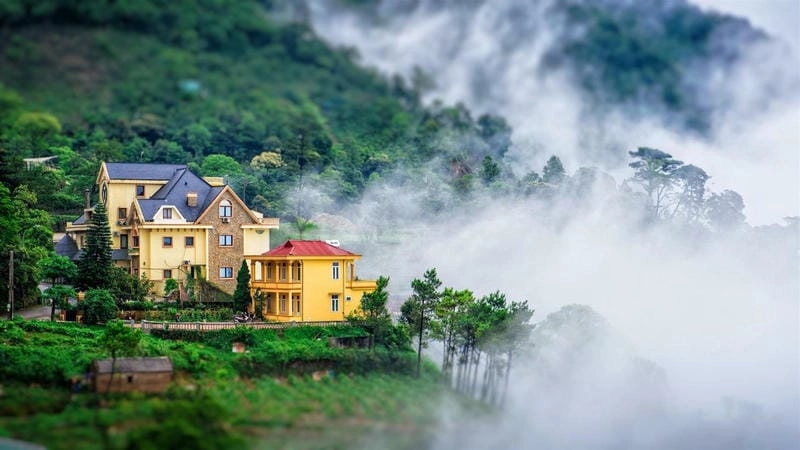 Tam Đảo là điểm nghỉ dưỡng lý tưởng quanh năm