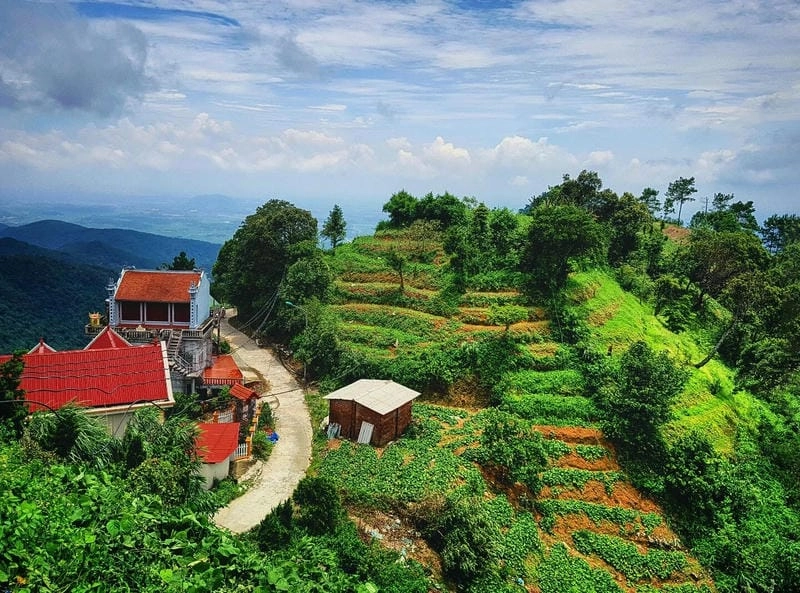 Tam Đảo thu hút bởi khí hậu mát lành dễ chịu