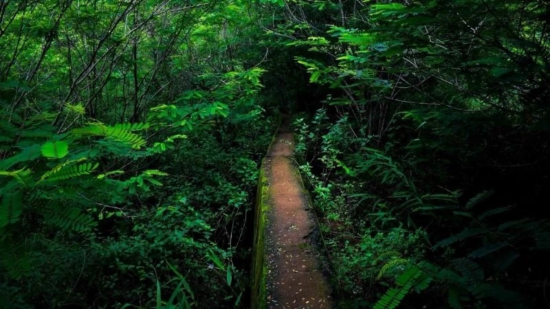 Du lịch Đắk Nông ghé thăm Thác Liêng Nung