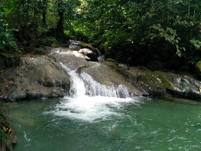 Thác nước Phú Thọ giữa thiên nhiên xanh mát