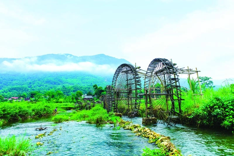 Rừng xanh bạt ngàn trong thiên nhiên Thanh Hóa