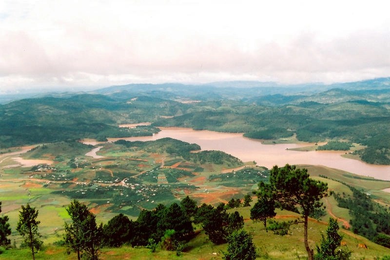 Thiên nhiên Đà Lạt xanh mát với đồi chè Cầu Đất