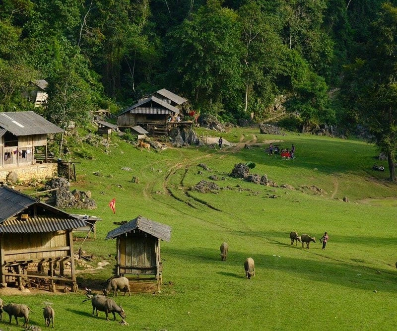 Sắc màu Thiên nhiên Mộc Châu trong từng khoảnh khắc