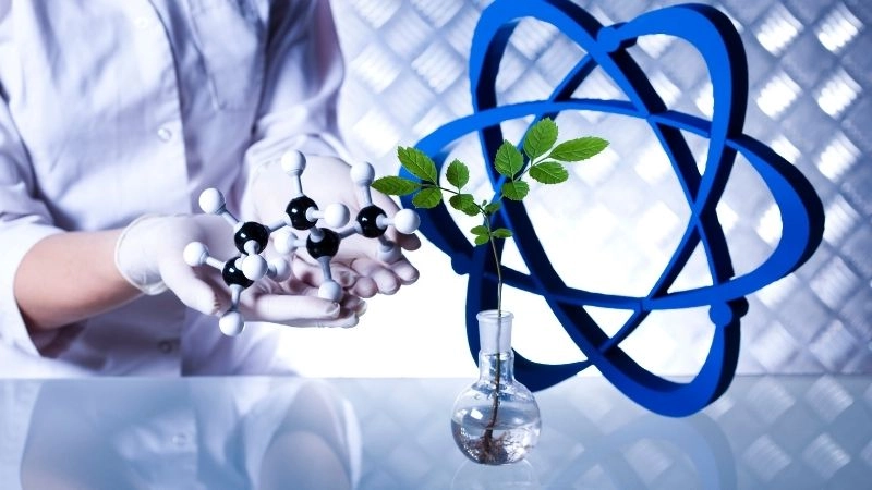 Thực phẩm bền vững và an ninh lương thực