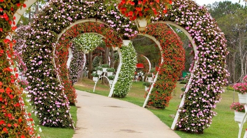 Kinh nghiệm cá nhân khi khám phá thung lũng Tình Yêu