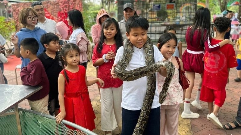 Khám phá Trại rắn Đồng Tâm hành trình đầy thú vị