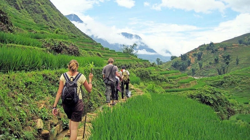 Trekking Sapa qua ruộng bậc thang xanh mướt
