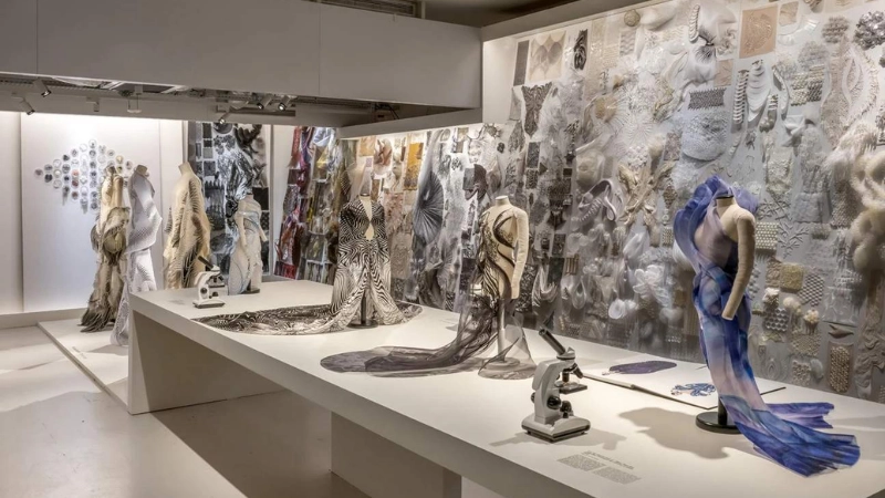 Triển lãm nổi bật và trải nghiệm độc đáo của ArtScience Museum 