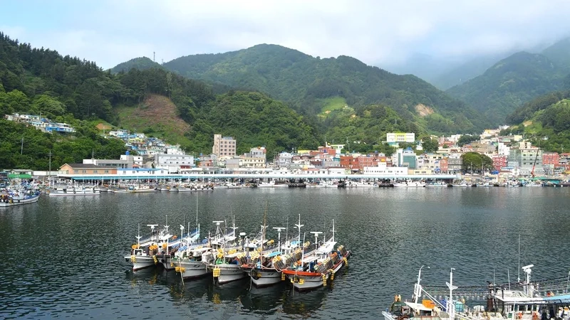 Kinh nghiệm tham quan Ulleungdo & Dokdo