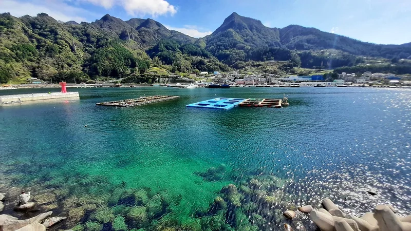 Sóng biển xanh biếc bao quanh Ulleungdo & Dokdo