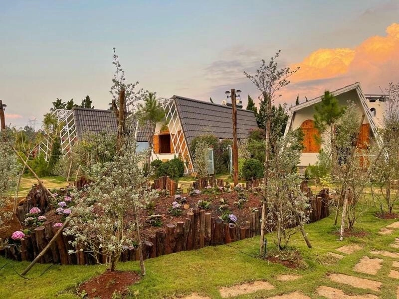 Villa đồi chè Bảo Lộc ẩn hiện giữa sương mù villa Bảo Lộc lãng mạn