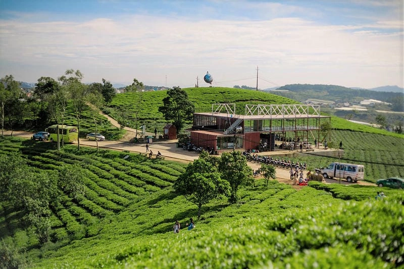 Thư giãn tại Villa đồi chè Đà Lạt sân vườn villa Đà Lạt rộng rãi