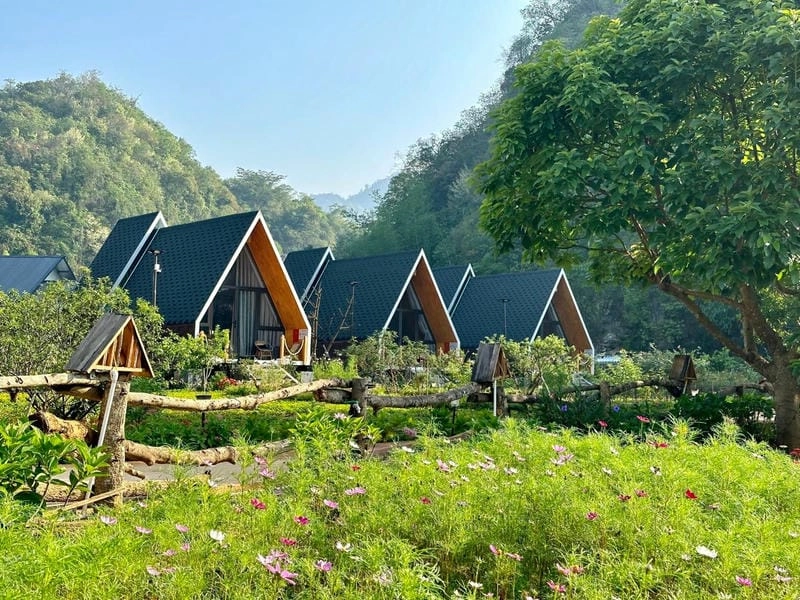 Đôi nét khái quát về Villa đồi chè Mộc Châu