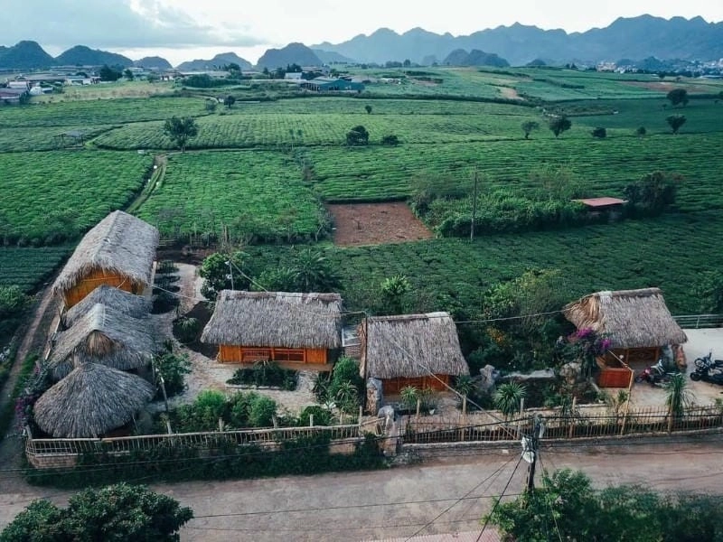 Tận hưởng vẻ đẹp thơ mộng của Villa đồi chè Mộc Châu