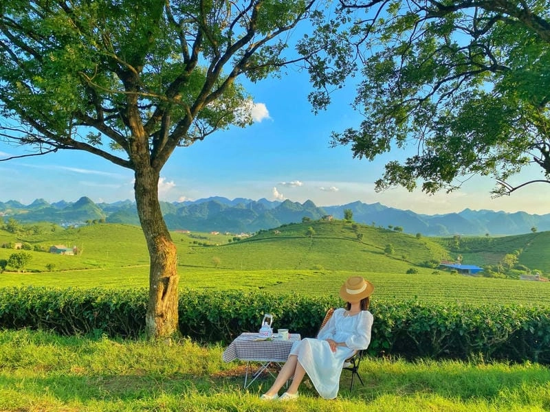 Thưởng ngoạn Villa đồi chè Pleiku qua ảnh đẹp