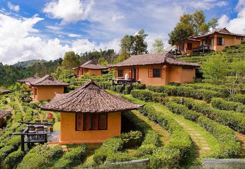 Thư giãn bên hồ bơi sang trọng tại Villa đồi chè Pleiku