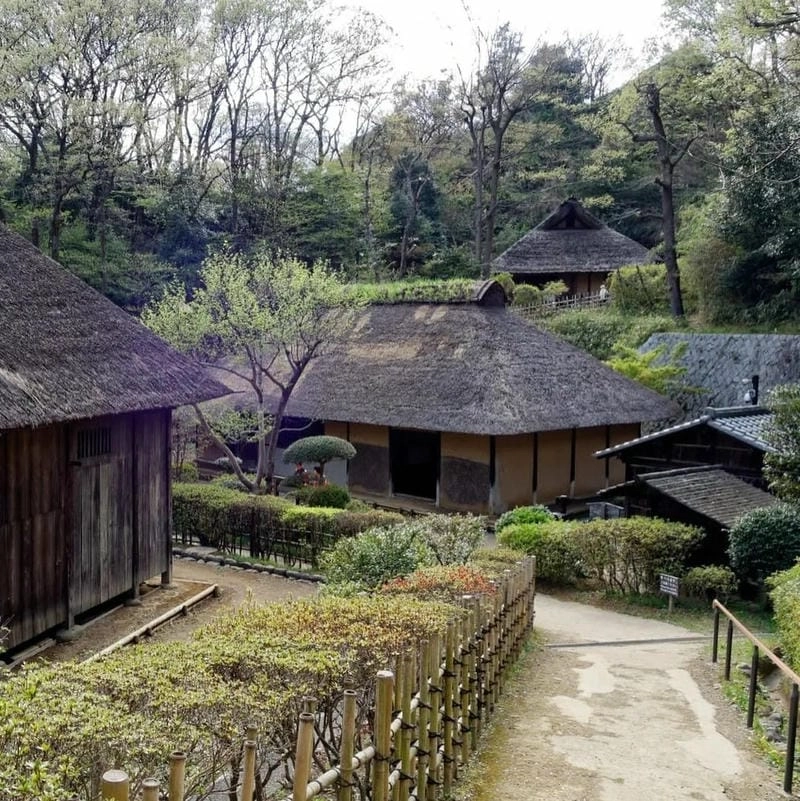 Khám phá Pleiku về đêm từ Villa đồi chè Pleiku