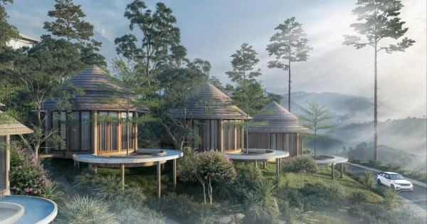 Chiêm ngưỡng Kiến trúc villa đồi thông sang trọng