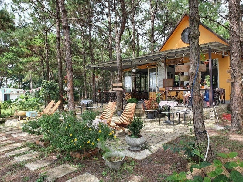 Đón Bình minh villa Bảo Lộc tuyệt đẹp trên đồi