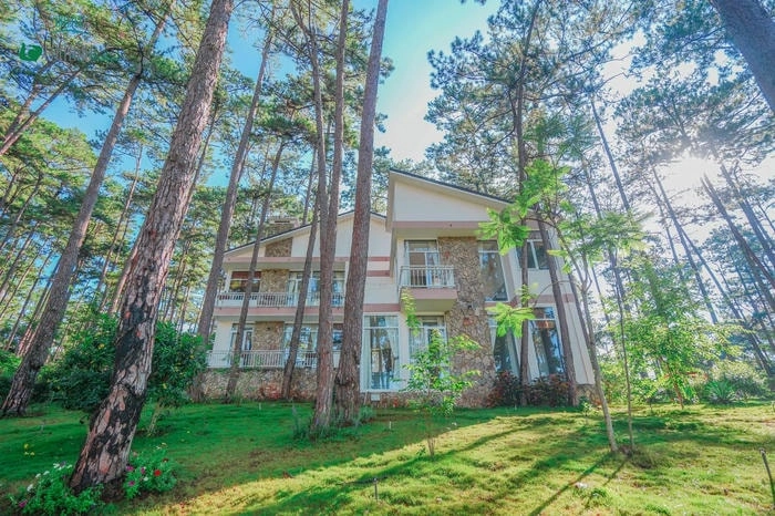 Thư giãn trong sân vườn xanh mát ở Villa đồi thông Đà Lạt