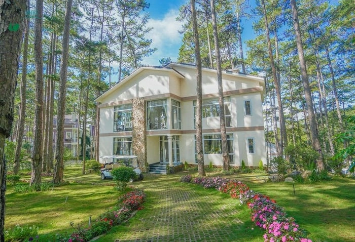 Trải nghiệm hồ bơi trong xanh tại Villa đồi thông Đà Lạt