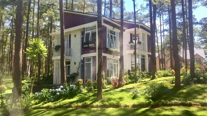 Tận hưởng phút giây thư giãn bên hồ bơi Villa đồi thông Đà Lạt