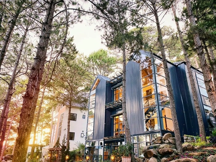 Đôi nét khái quát về villa đồi thông Đà Lạt