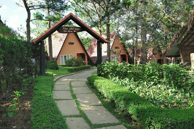 Tận hưởng hồ bơi giữa rừng tại Villa đồi thông Sapa