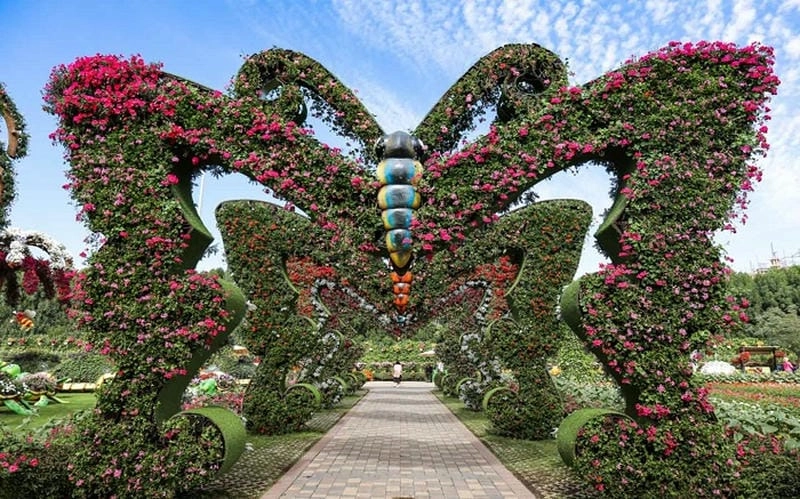 Cập nhật Giờ mở cửa Vườn bướm Dubai cho chuyến đi