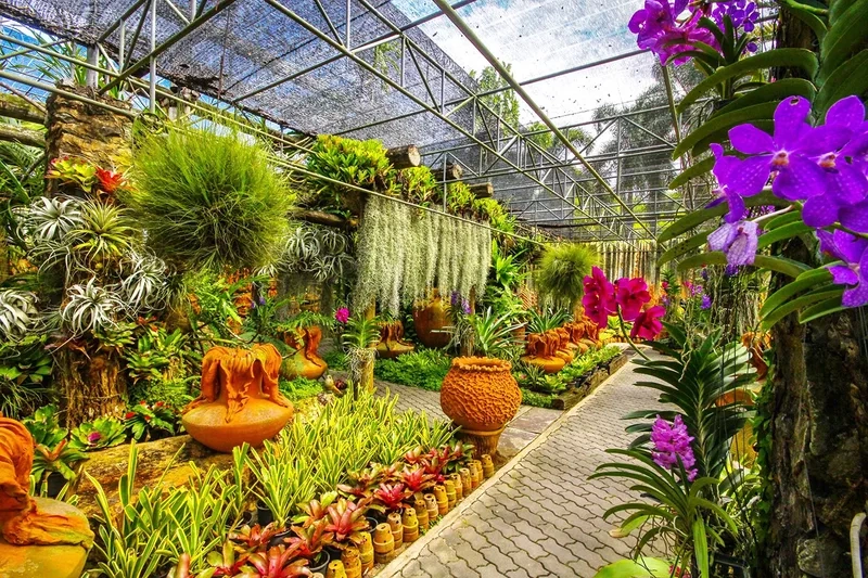 Lạc bước vào Vườn nhiệt đới Nong Nooch tuyệt đẹp