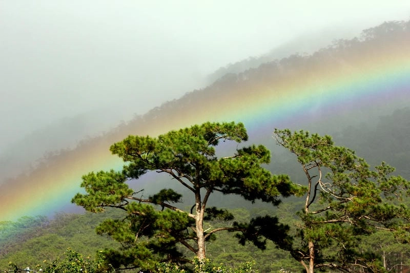 Khung cảnh hùng vĩ tại Vườn quốc gia Bidoup Núi Bà