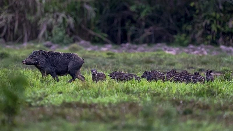 Du lịch Bình Phước trải nghiệm không giới hạn