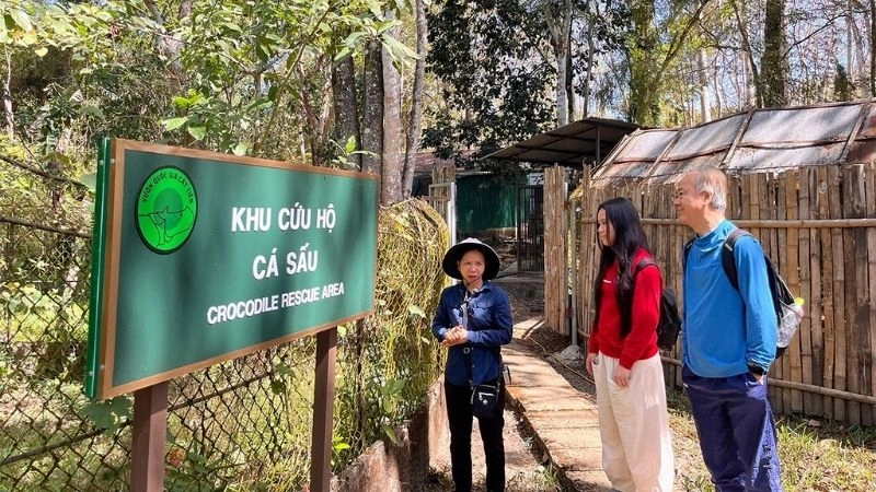 Bình yên Cát Tiên giữa rừng xanh mát lành