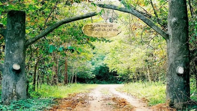 Thiên nhiên Cát Tiên tươi xanh bốn mùa rộn rã