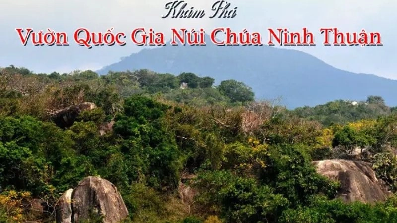 Đôi nét hấp dẫn về Vườn Quốc gia Núi Chúa
