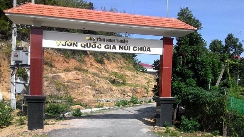 Thời điểm lý tưởng để khám phá Vườn Quốc gia Núi Chúa