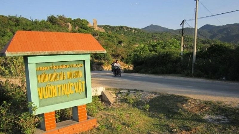 Du lịch Ninh Thuận trải nghiệm biển xanh nắng vàng