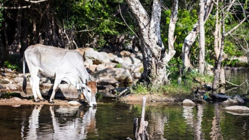 Ảnh Ninh Thuận đẹp lưu giữ khoảnh khắc đáng nhớ