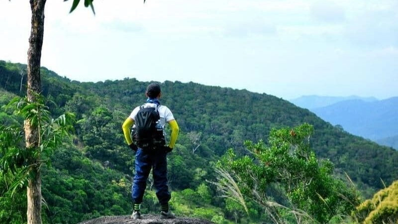 Kinh nghiệm khám phá Vườn Quốc gia Núi Chúa