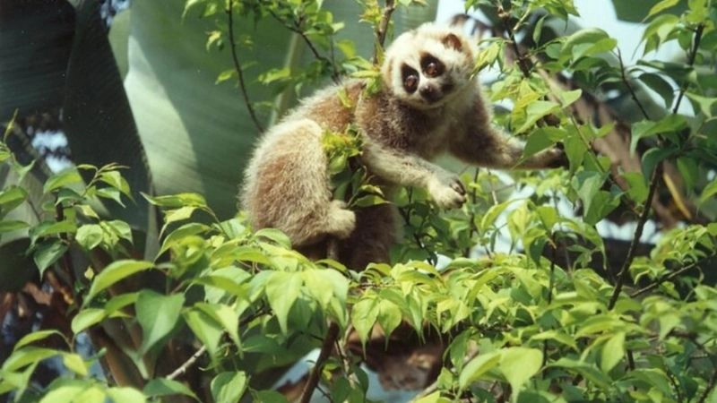 Cảnh đẹp Phong Nha Kẻ Bàng làm say đắm lòng người