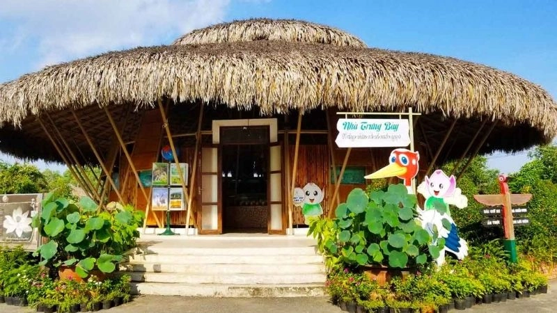 Bình yên Tràm Chim tận hưởng không gian yên tĩnh xanh