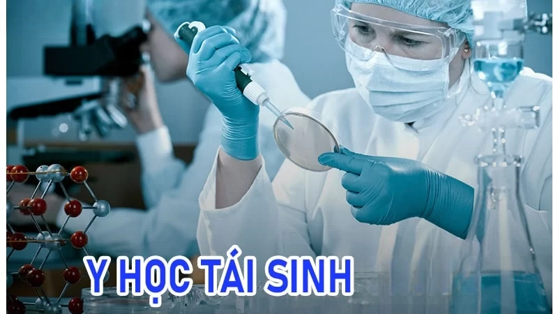 Y học tái sinh và tiềm năng chữa lành vượt giới hạn