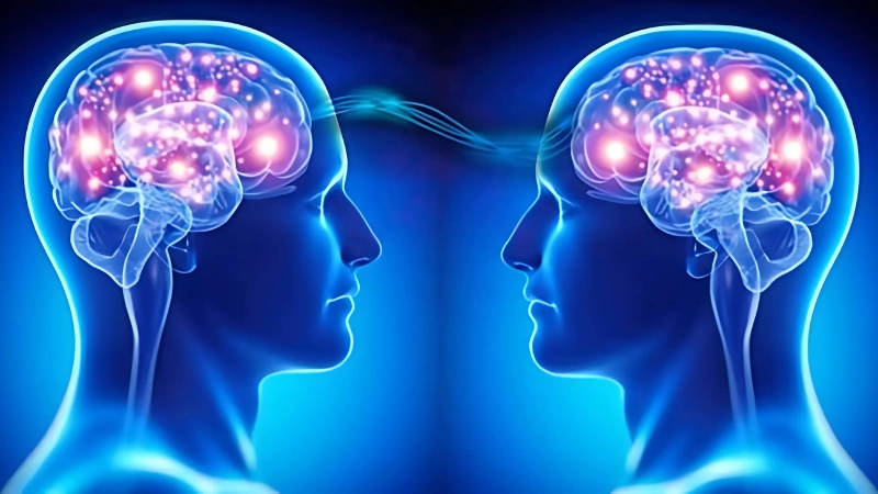 Ý thức lượng tử hướng tiếp cận mới trong nghiên cứu não bộ