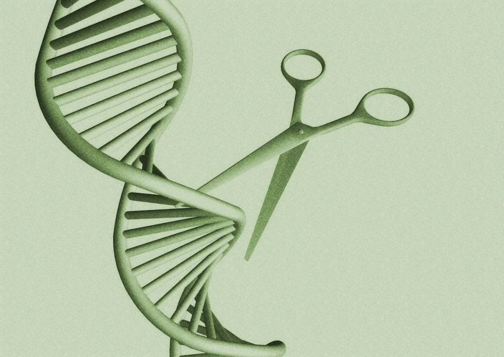 Chỉnh sửa gene trong y học cứu sống nhiều người